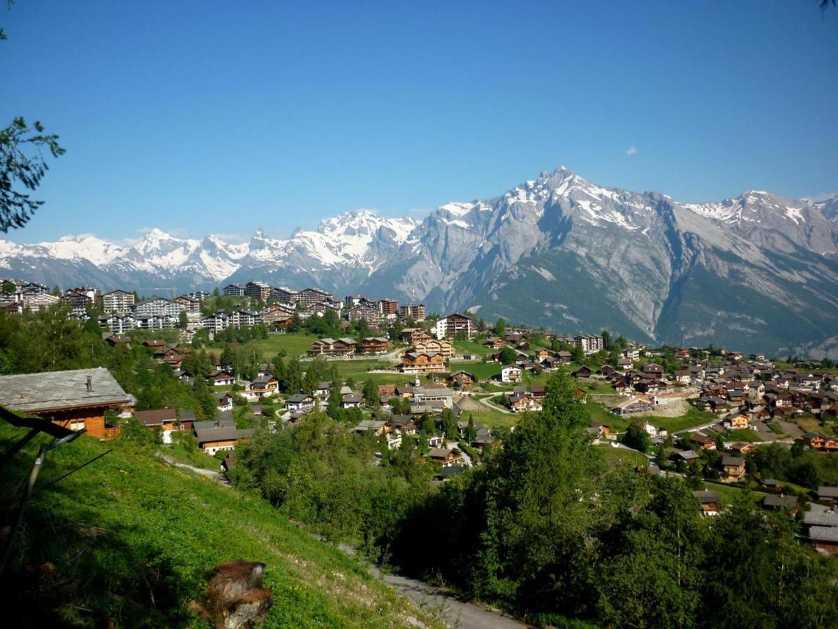 Pracondu Outdoor & Fun Appartement 8 Personnes By Alpvision Residences Nendaz Dış mekan fotoğraf